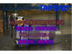 负载敏感泵TFB1V80YS手动变量右旋平键轴通轴可串泵图1