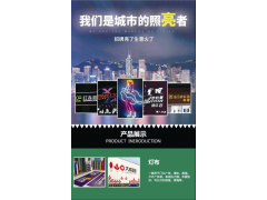 户外防水天幕墙LED霓虹灯亮化灯光秀商场酒店楼体商业街灯光秀图2