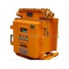 ZBZ-4.0/6.0/8.0/10M矿用隔爆型照明信号综保