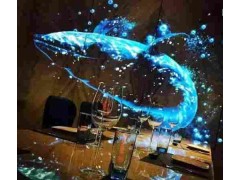 全息膜深圳厂家批发 互动展览橱窗展示 正背投全息膜图3