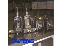 TFB1V63Y/1X-LR柱塞泵山东泰丰智能厂家现货供应图1