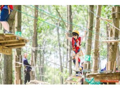 苏州青少年暑期夏令营丛林穿越户外拓展体育探索体验营活动报名中图2