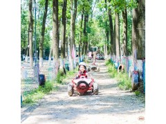 苏州青少年暑期夏令营丛林穿越户外拓展体育探索体验营活动报名中图3