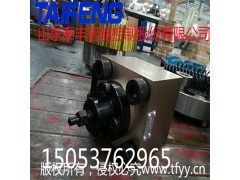 山东泰丰厂家可加工定制充液阀TCF1-100B-00图2