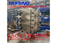 山东泰丰厂家供应二通插装阀YN32-100FXCV图3