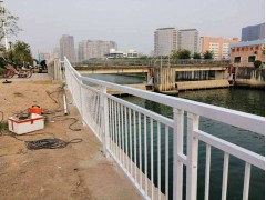 供应交通安全护栏 非机动车分隔栏 东莞人行道栏杆定制图2