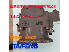 泰丰TFB1V80Y/1X-LRB2的柱塞泵图2