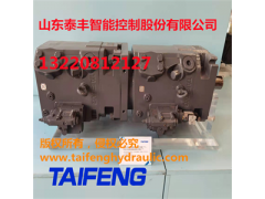 泰丰TFB1V80Y/1X-LRB2的柱塞泵图3