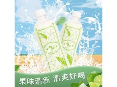 园林牌白柠檬味汽水经典苏州口味汽水童年味道图3