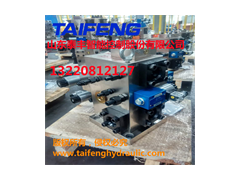 泰丰供应YZ32-100CV-00R插装阀DG30厂家直销图1