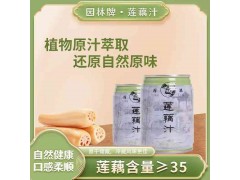 园林牌柠檬味汽水苏州口味汽水童年饮料图2