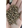 3-8mm压箱丸，钢丸，铁丸