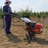 开沟机 田园管理机维修视频 田园管理机离合器不分离怎么调