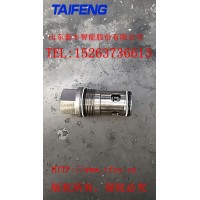 TCVH-XAN单向阀山东泰丰智能厂家生产供应欢迎咨询